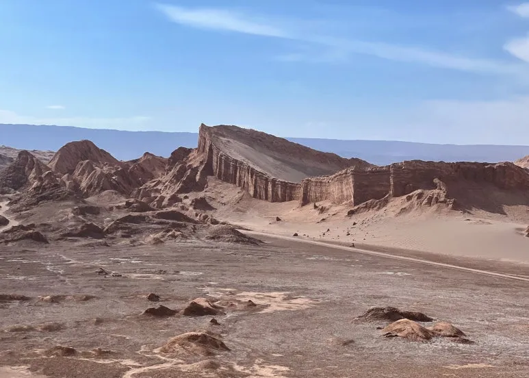 IMG_9991.JPEG?type=w773