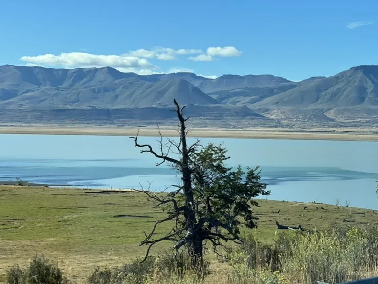 IMG_1008.jpg?type=w773