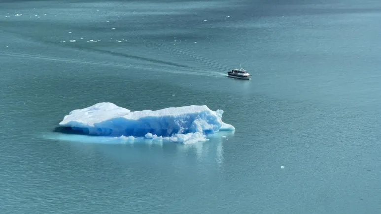 IMG_1138.JPG?type=w773