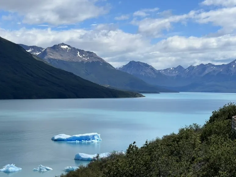 IMG_1073.jpg?type=w773