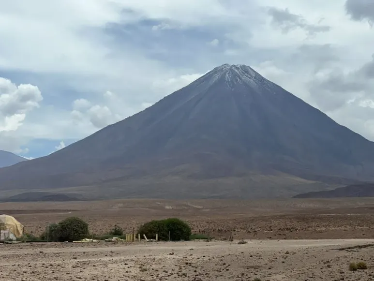 IMG_6001.jpg?type=w773