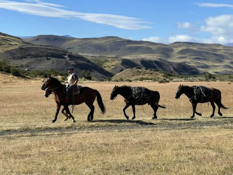 IMG_9957.jpg?type=w773