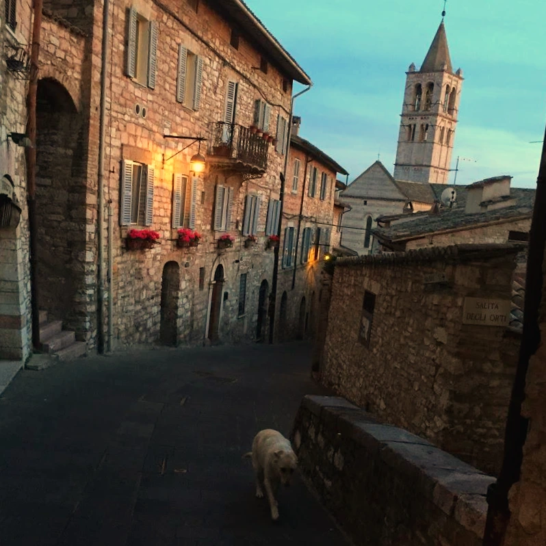 AM-JKLXls9ywH4blvm0i3TWCHpMqgF1EYX_nwImTlv1keCf4BpxIUe_xLQC4j03OTd5YEIJa9h2Yeq-xiXtjR8ws6dFLdVHtzKBhKan4kTf1rBhEt7Wy6vJ7dWGHZhJtFIHd-2dVOU_xbLHo9QRSLS1aCVkx=w874-h1164-no?authuser=1