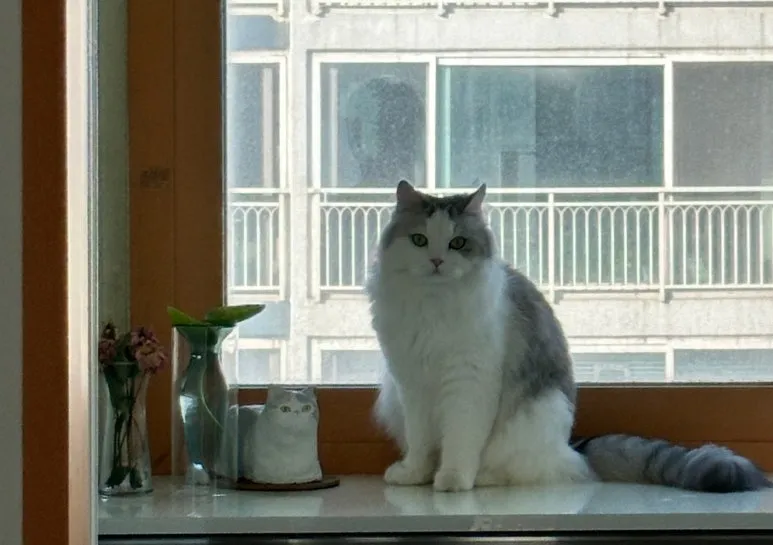 SE-850f80e2-8c74-4e7e-8e08-d50bf2ee2d74.jpg?type=w773