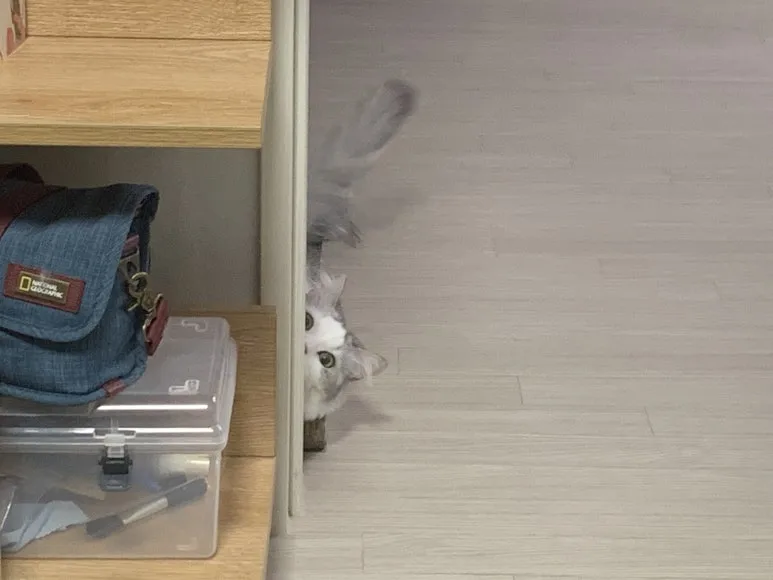 20211220_222952_IMG_6706.jpg?type=w773