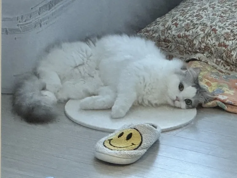 20230802_072357_IMG_9932.JPG?type=w773