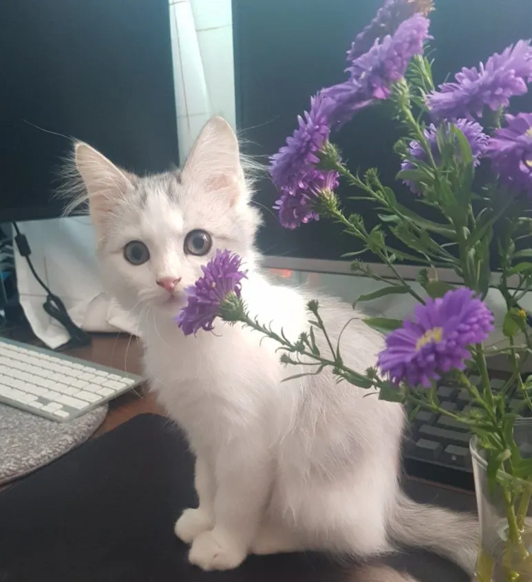 20201105_222621_IMG_4307.JPG?type=w773