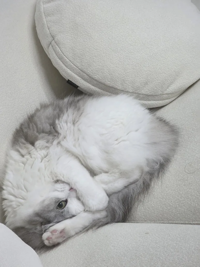 20250501_114017.jpg?type=w773