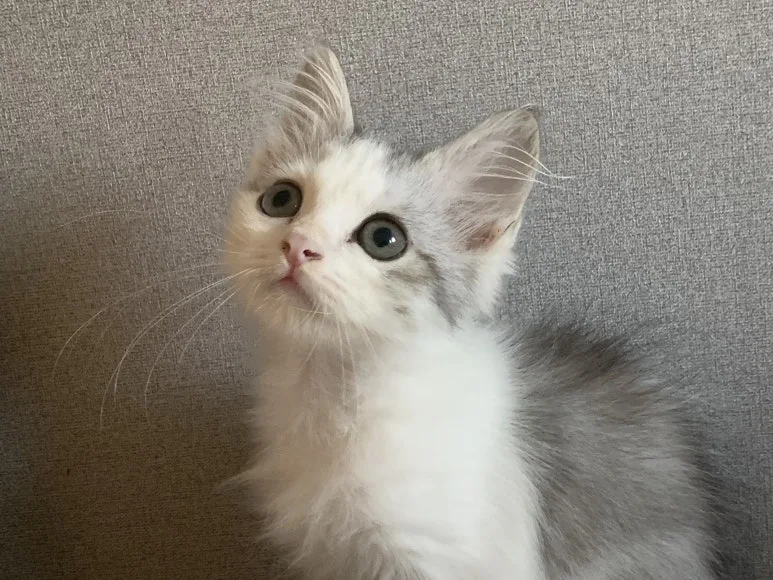 20200919_102325_IMG_3943.jpg?type=w773