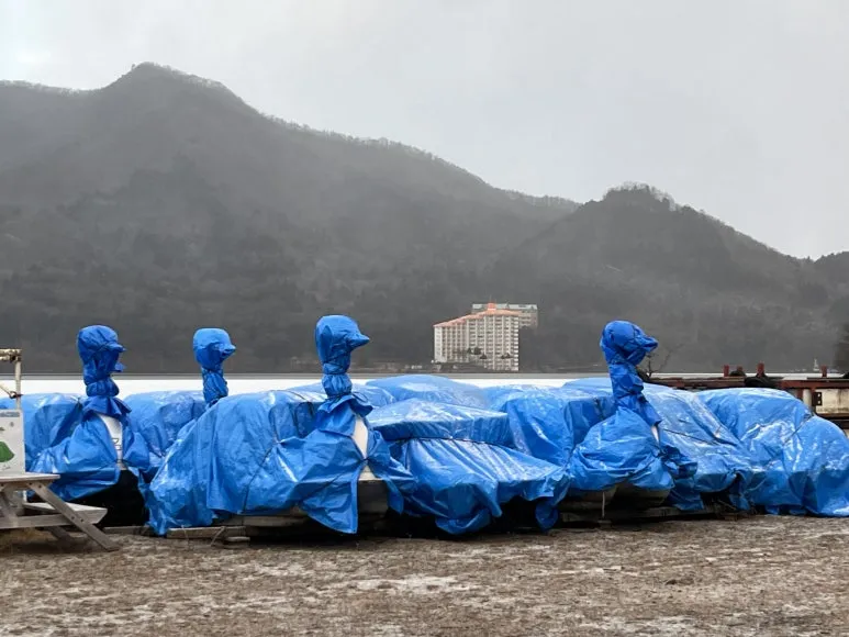 IMG_3321.JPG?type=w773