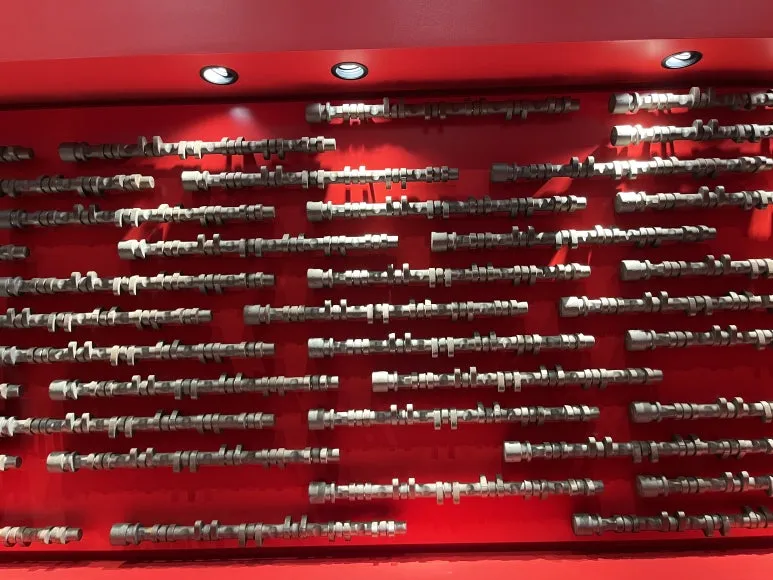 IMG_3733.JPG?type=w773