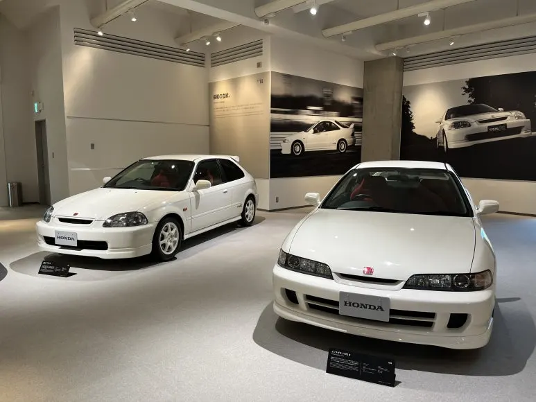 IMG_3431.JPG?type=w773