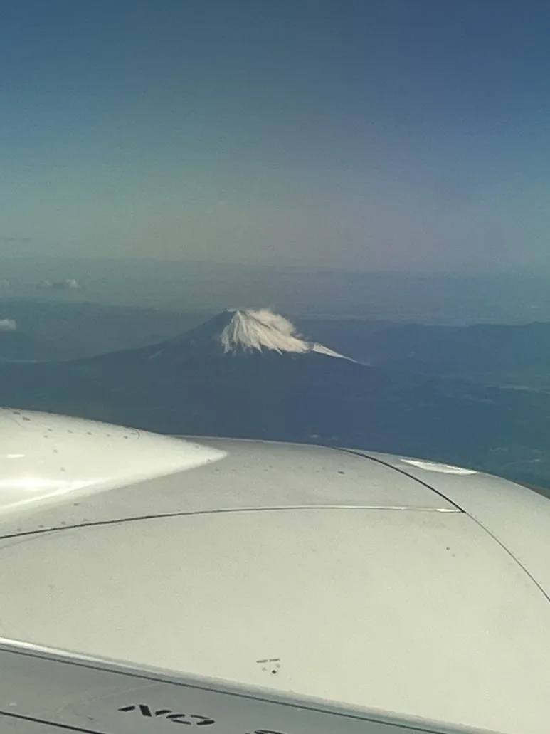 IMG_3300.JPG?type=w773