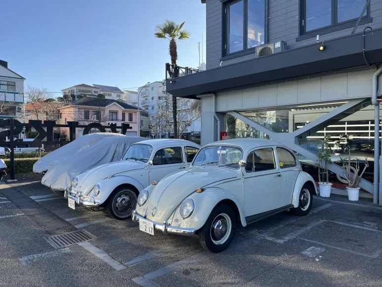 IMG_3707.JPG?type=w773