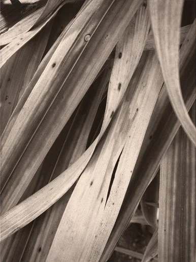 KakaoTalk_20250319_092515127_04.jpg?type=w386