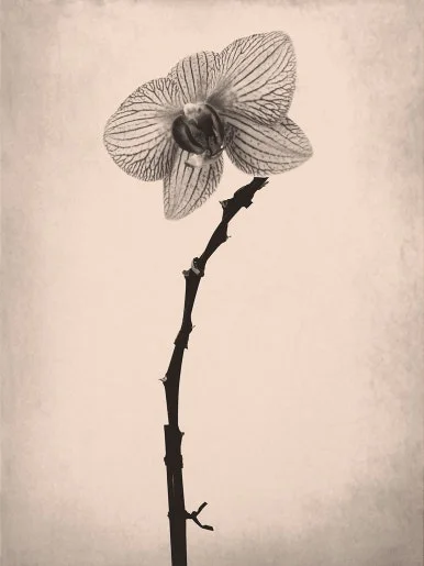 KakaoTalk_20250319_092515127_05.jpg?type=w386