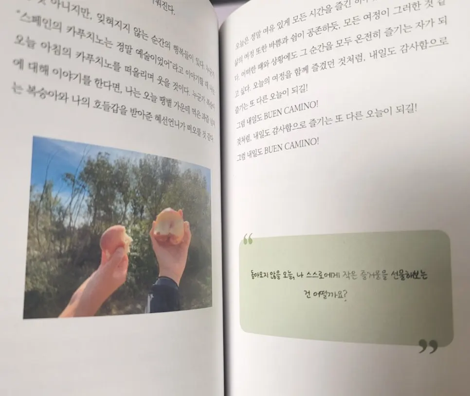 SE-381b1da1-cf1d-44b9-aada-a9e6bf6c0428.jpg?type=w966