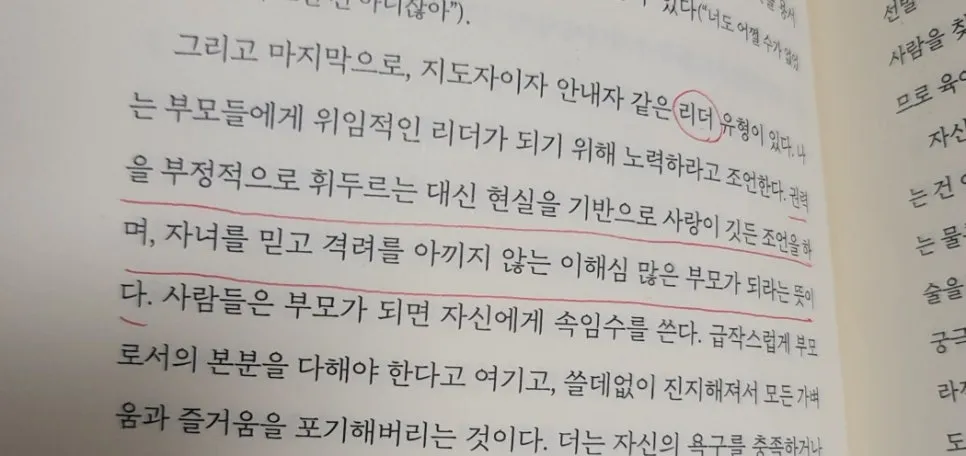 SE-428463bc-ff7b-4d22-8f9a-ac863d1fed80.jpg?type=w966