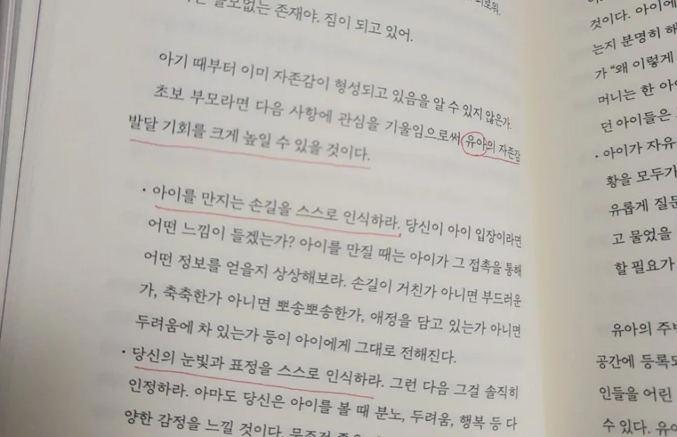 SE-a6093ff7-4245-4563-bca7-8fc717c2b067.jpg?type=w966