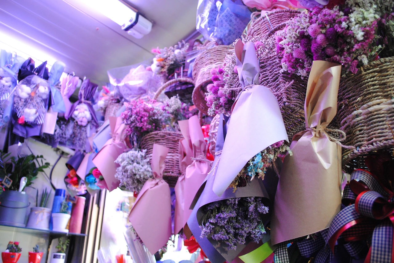 플로리스 3.JPG