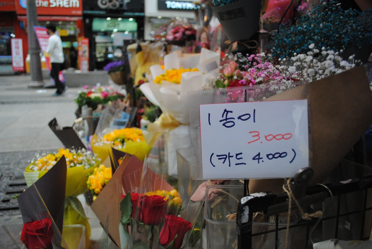 플로리스 4.JPG