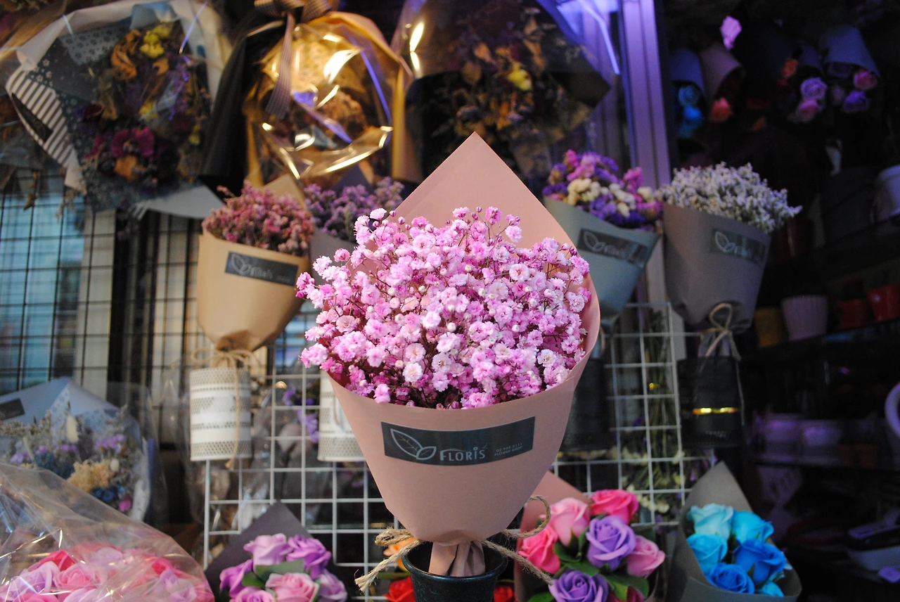 플로리스 1.JPG