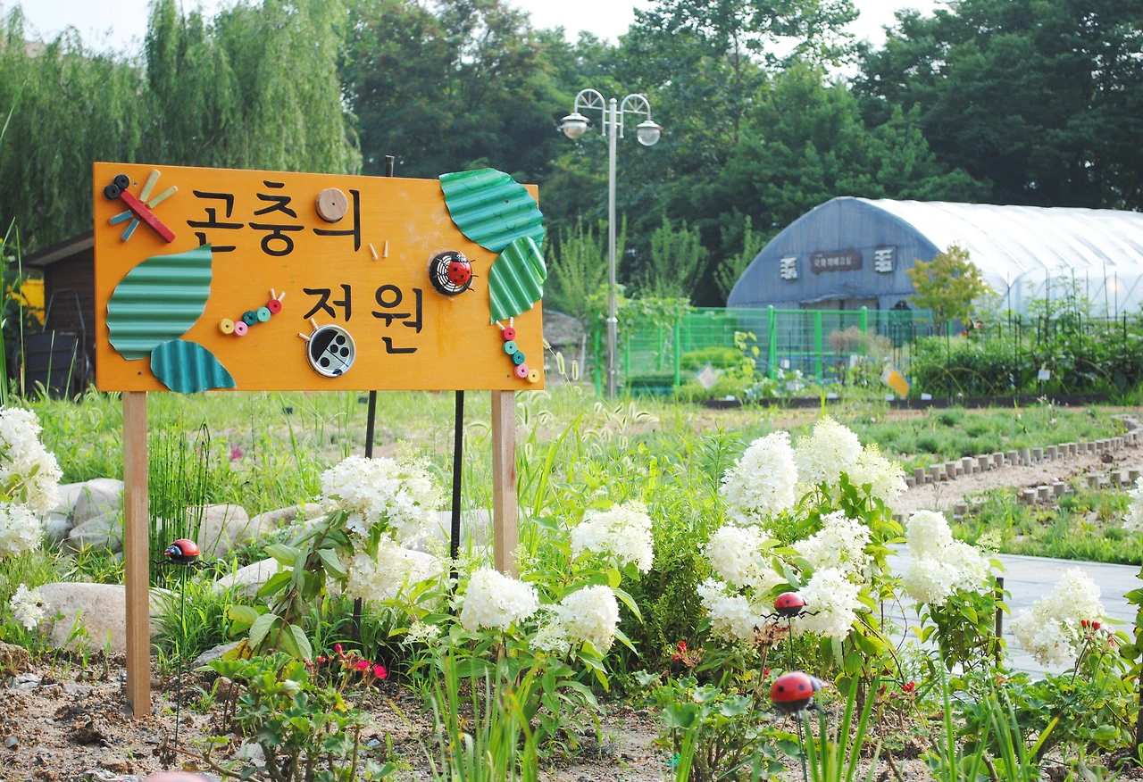 중계본문 (13).JPG