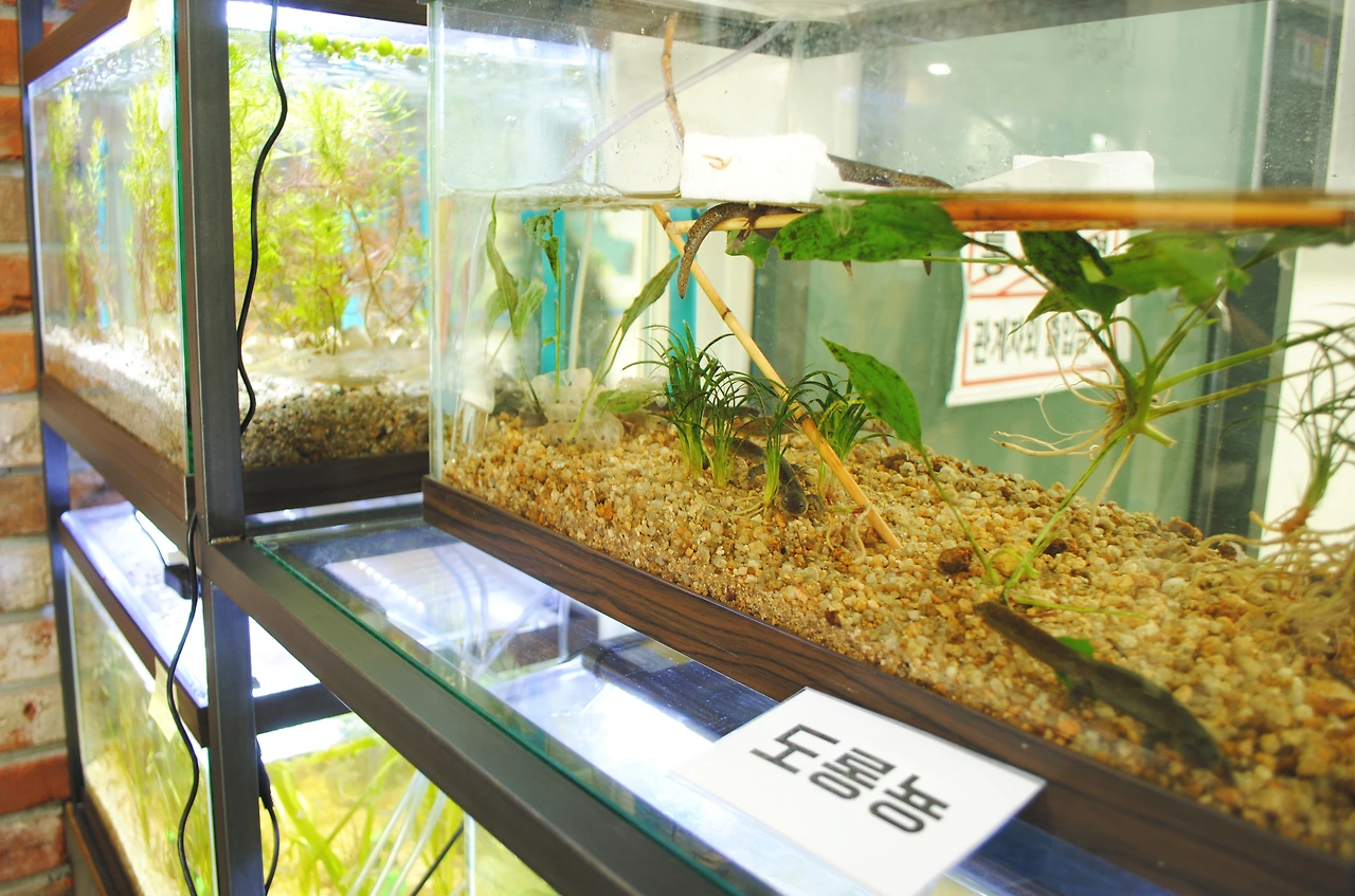 중계본문 (8).JPG