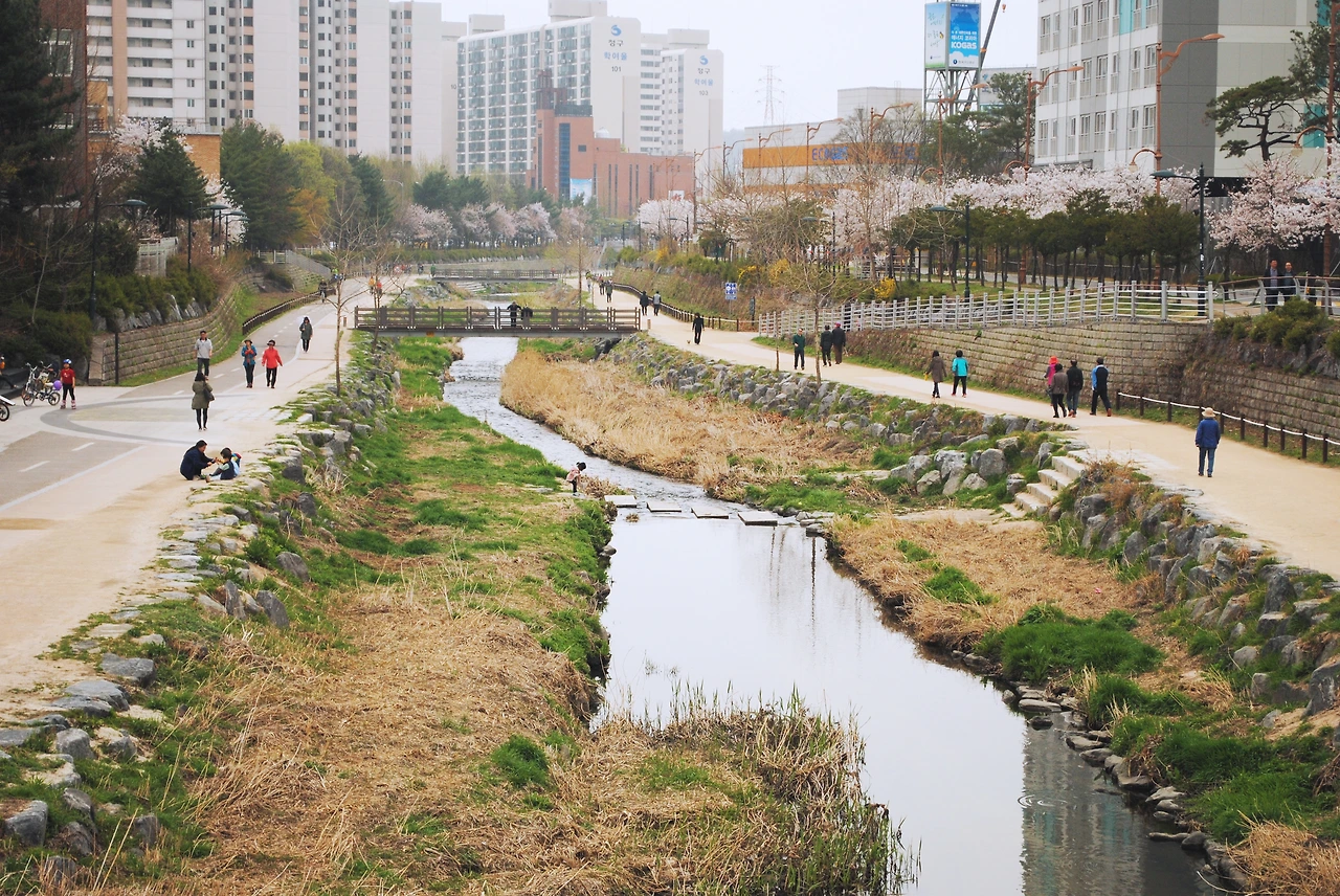 중계본문 (6).JPG