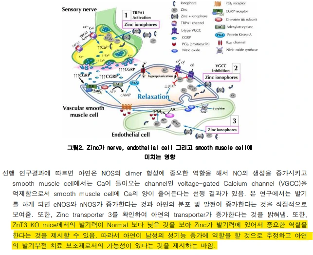 AD_4nXc-GoDX4E2bItcrMpiNBbQceaUhHxjVp4pcKd-5b8jWts2d7mPkq46ASZ5StAWCMHluJN_kDFbUp1QruJnznFogoCmH_uAHVZJPJe8fvGSPJjT8rXpY_5FBPCkKYE0_0lKJSifREw?key=-8AjFWwgeVs9wI9suWFA4g