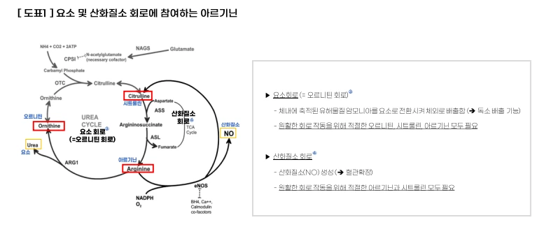 AD_4nXcIvqhXemfxdnzHRqrT7mdh9JkublMW15nRmiBXtXMoQ4pcNoGUhvEWTTqUvOoVha3mXZOjALCGbtZArQMwwdvdhOmhYyZVh5lUX-_qK8HtdezaRkqqcVQ1TiLDmxOkeB-B_lVu?key=-8AjFWwgeVs9wI9suWFA4g