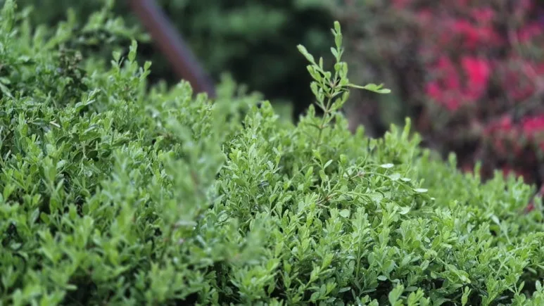 KakaoTalk_20250423_090012908_19.jpg?type=w773