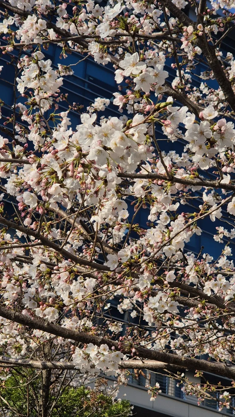 KakaoTalk_20250423_090012908_04.jpg?type=w773