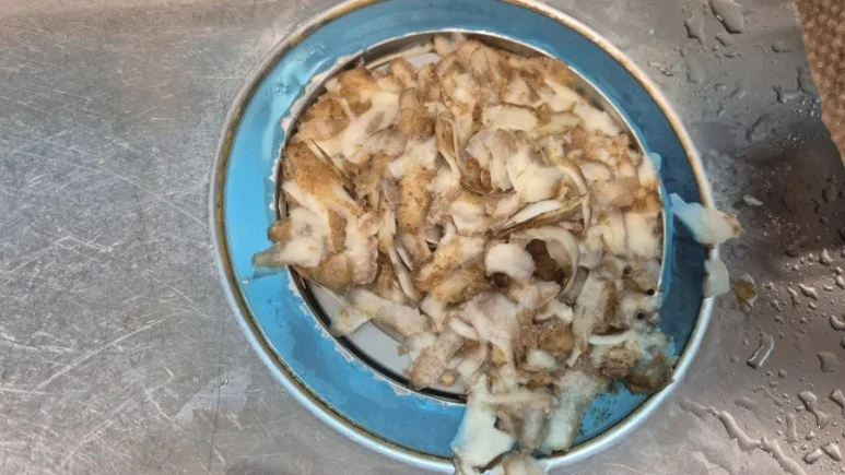 900%EF%BC%BF20250713%EF%BC%BF130424.jpg?type=w773