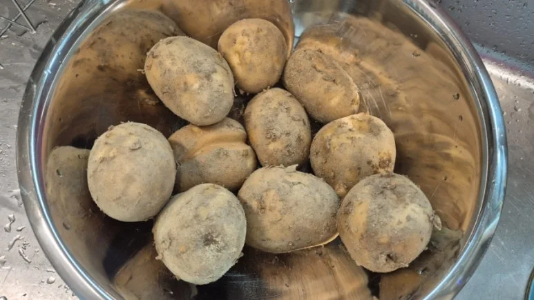 900%EF%BC%BF20250713%EF%BC%BF122738.jpg?type=w773