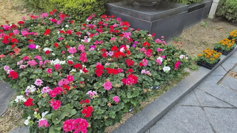 KakaoTalk_20250423_090012908_16.jpg?type=w773