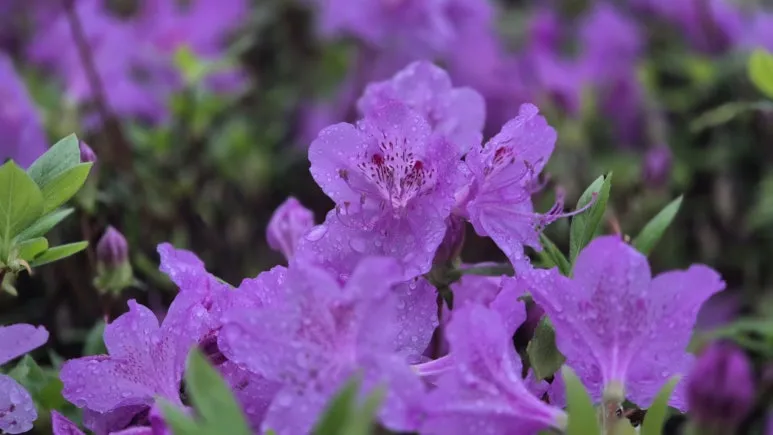 KakaoTalk_20250423_090012908_21.jpg?type=w773