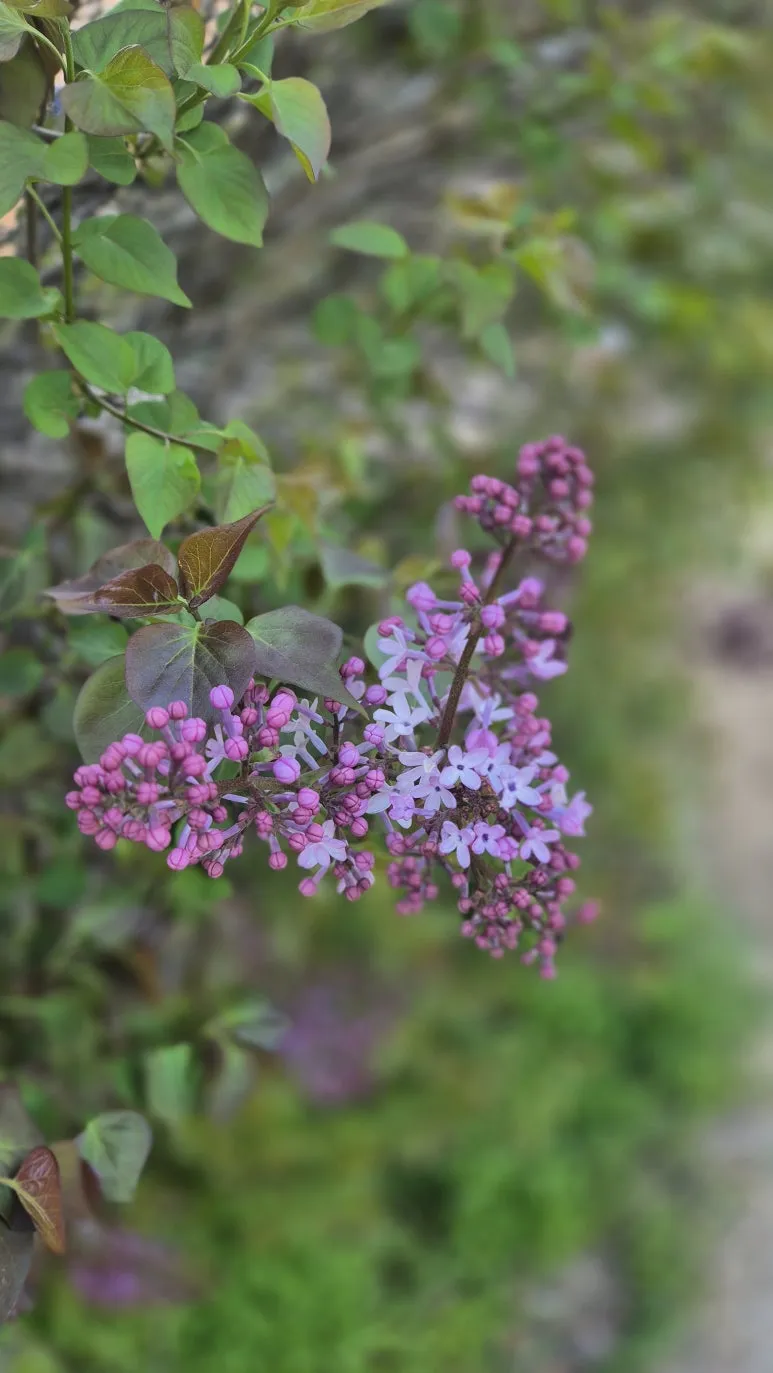 KakaoTalk_20250423_090012908_12.jpg?type=w773