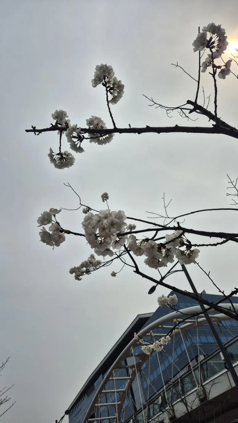 KakaoTalk_20250423_090012908_01.jpg?type=w773