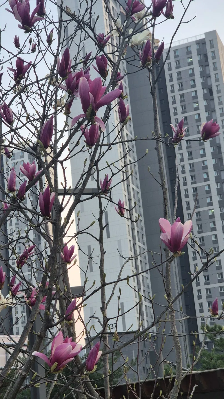 KakaoTalk_20250423_090012908_05.jpg?type=w773