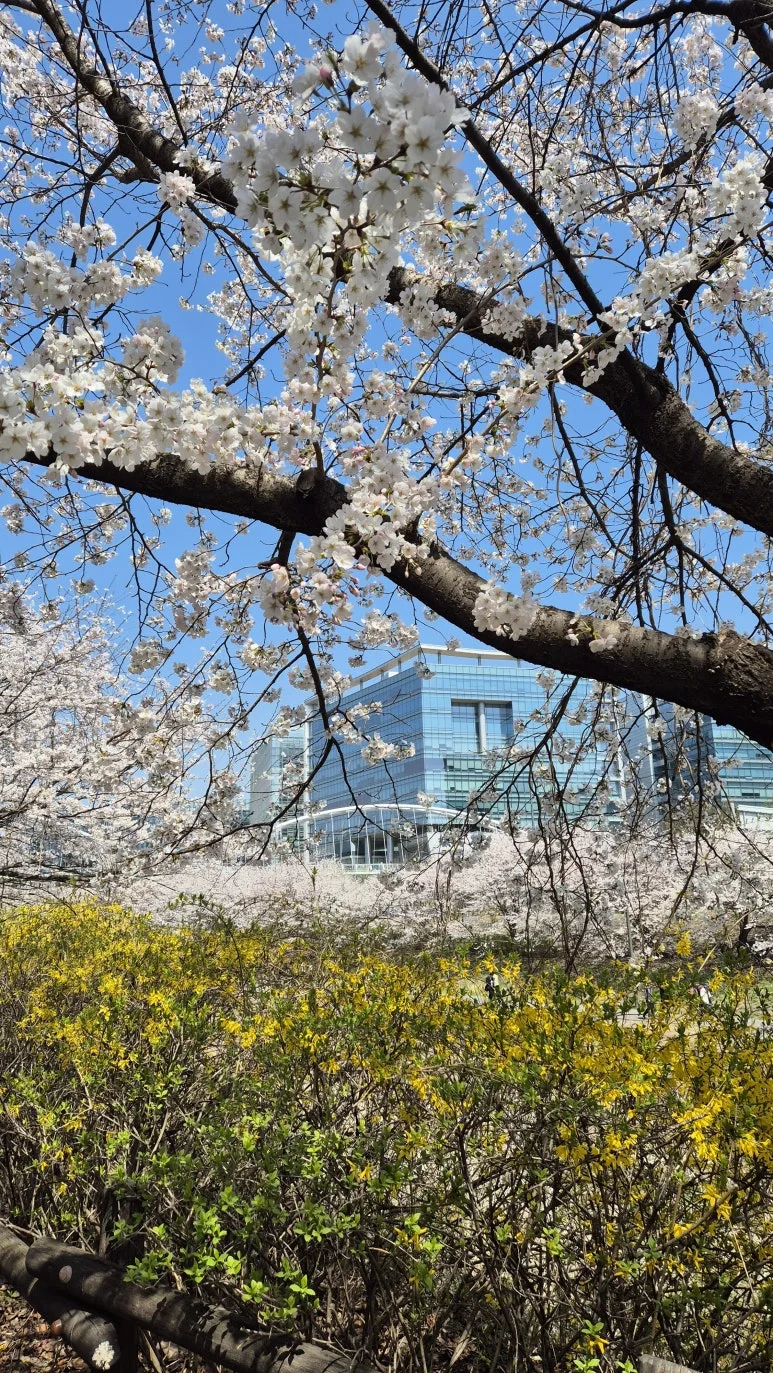 KakaoTalk_20250423_090012908_10.jpg?type=w773