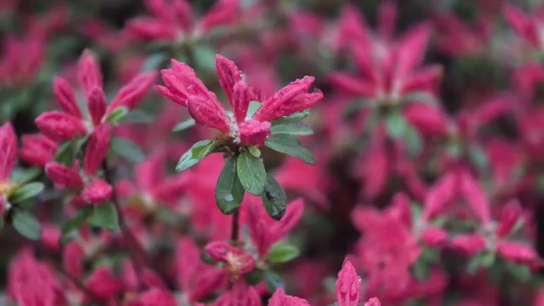 KakaoTalk_20250423_090012908_18.jpg?type=w773