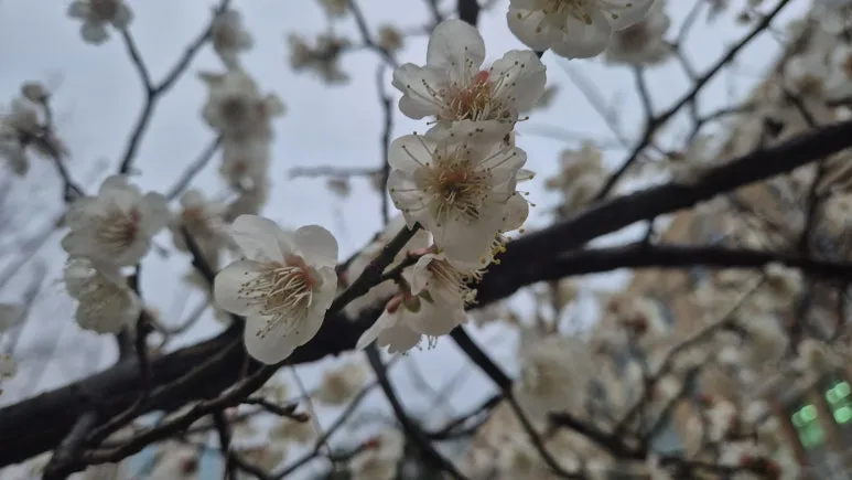 KakaoTalk_20250423_090012908_03.jpg?type=w773