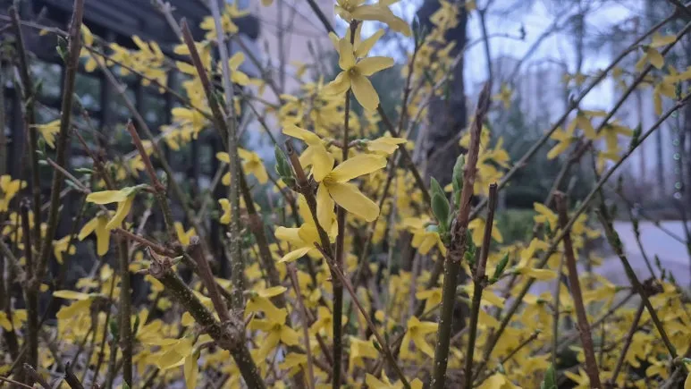 KakaoTalk_20250423_090012908_02.jpg?type=w773