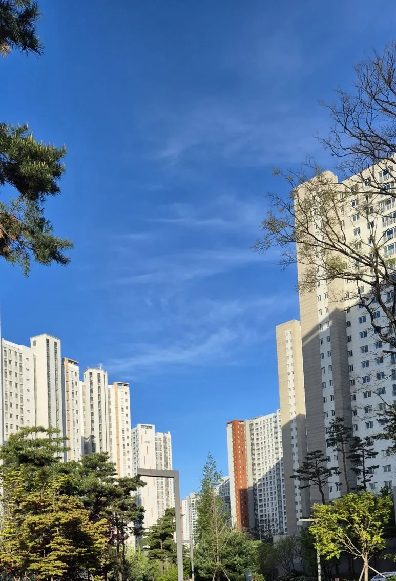 KakaoTalk_20250423_085546171_01.jpg?type=w773