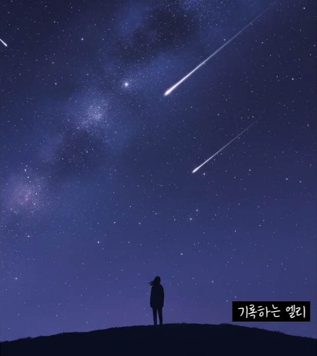 SE-011138ae-270b-4f7e-adac-639559ec2098.png?type=w773