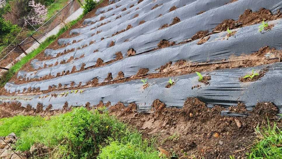 KakaoTalk_20250422_151937053_05.jpg?type=w966