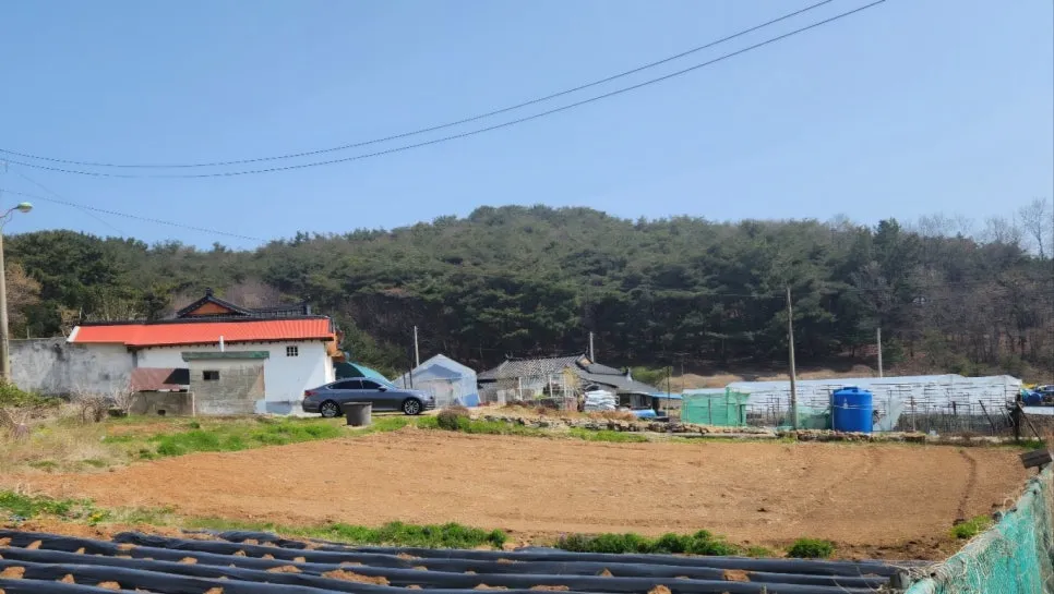 KakaoTalk_20250422_172136652.jpg?type=w966