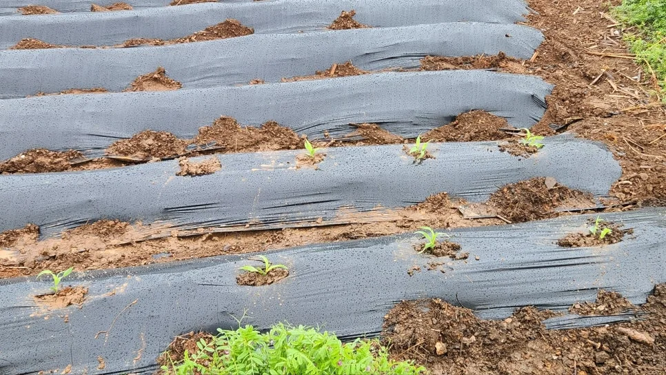 KakaoTalk_20250422_151937053_04.jpg?type=w966