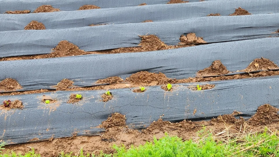 KakaoTalk_20250422_151937053_03.jpg?type=w966